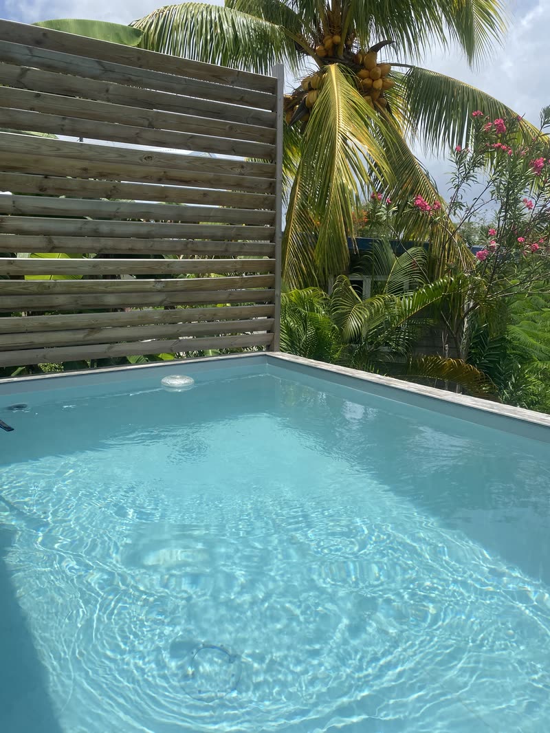La piscine privative, le brise-vue en bois et le cocotier