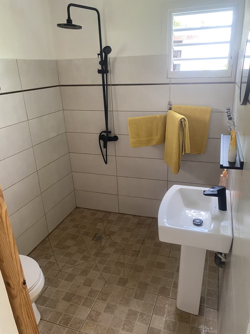Le lavabo, la douche et les WC